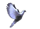 Image hberge par Casimages.com : votre hbergeur d images simple
et gratuit