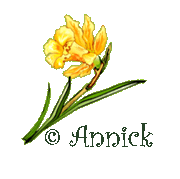 Image hébergée par Casimages.com : votre hébergeur d images simple et gratuit