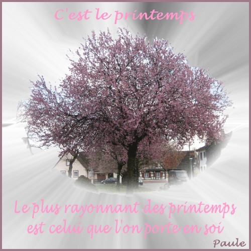 Image hébergée par Casimages.com : votre hébergeur d images simple et gratuit