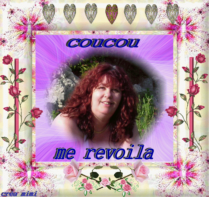 voir l'image en taille réelle