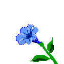 Image h�berg�e par Casimages.com : votre h�bergeur d images simple et gratuit