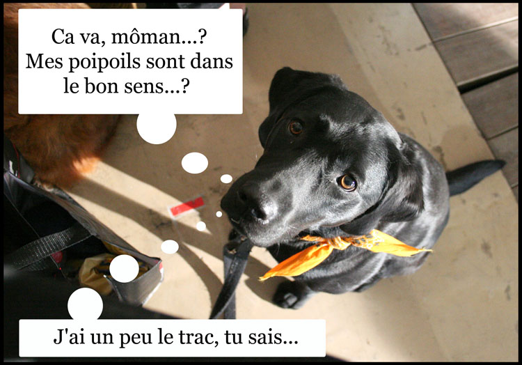 Image h�berg�e par Casimages.com : votre h�bergeur d images simple et gratuit