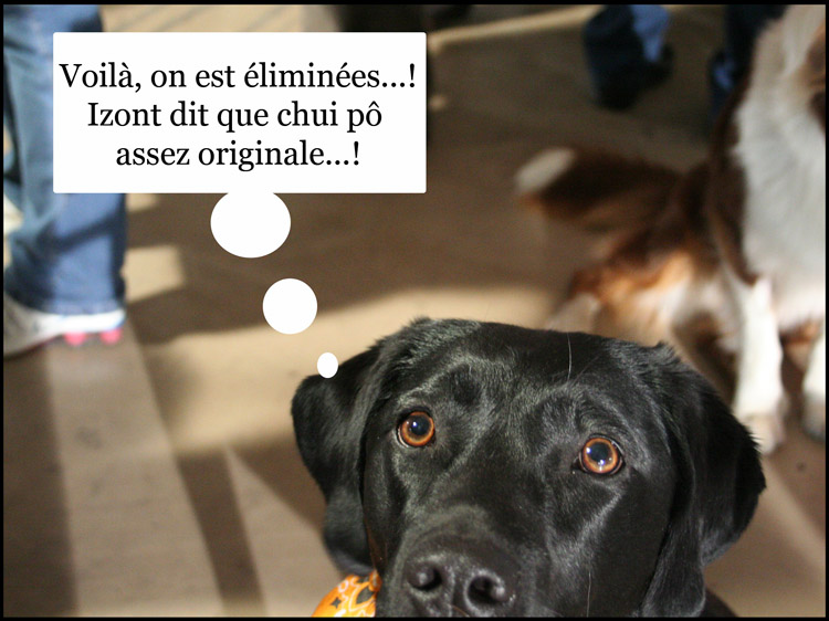Image h�berg�e par Casimages.com : votre h�bergeur d images simple et gratuit