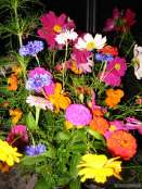 fleurs