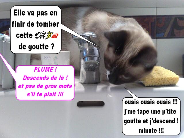 Image hébergée par Casimages.com : votre hébergeur d images simple et gratuit