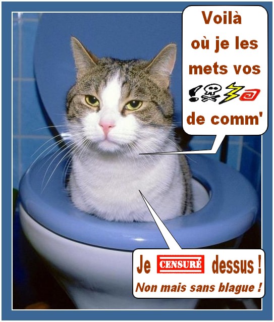 Image hébergée par Casimages.com : votre hébergeur d images simple et gratuit