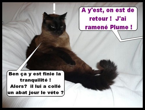 Image hébergée par Casimages.com : votre hébergeur d images simple et gratuit