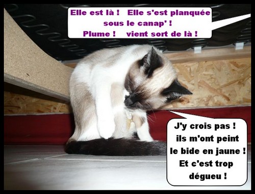 Image hébergée par Casimages.com : votre hébergeur d images simple et gratuit