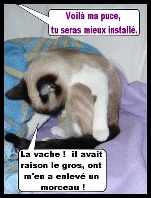 Image hébergée par Casimages.com : votre hébergeur d images simple et gratuit