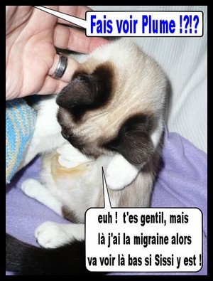 Image hébergée par Casimages.com : votre hébergeur d images simple et gratuit