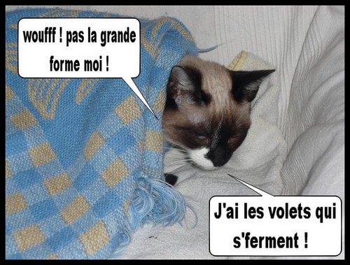 Image hébergée par Casimages.com : votre hébergeur d images simple et gratuit