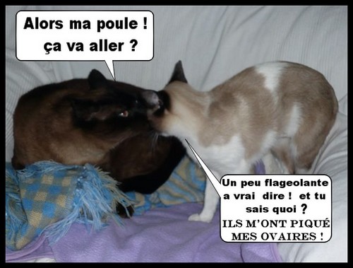 Image hébergée par Casimages.com : votre hébergeur d images simple et gratuit