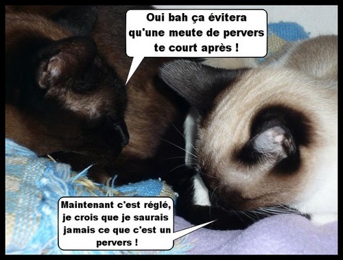 Image hébergée par Casimages.com : votre hébergeur d images simple et gratuit
