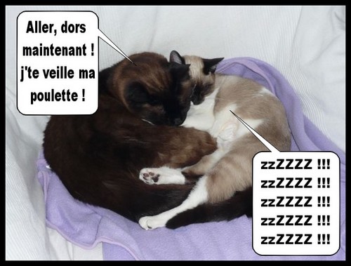 Image hébergée par Casimages.com : votre hébergeur d images simple et gratuit