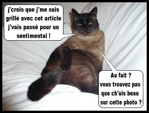 Image hébergée par Casimages.com : votre hébergeur d images simple et gratuit