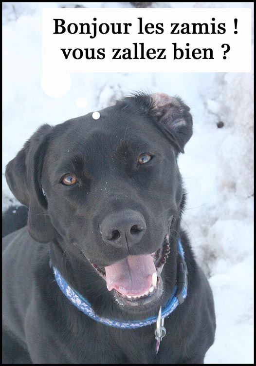 Image h�berg�e par Casimages.com : votre h�bergeur d images simple et gratuit