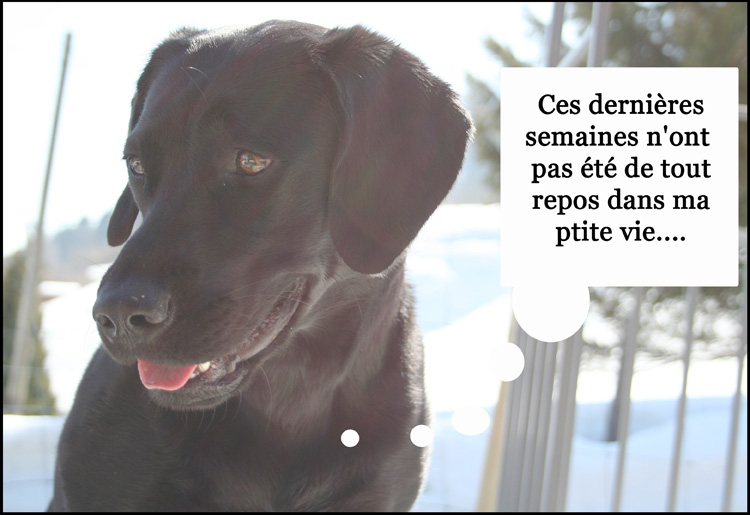 Image h�berg�e par Casimages.com : votre h�bergeur d images simple et gratuit