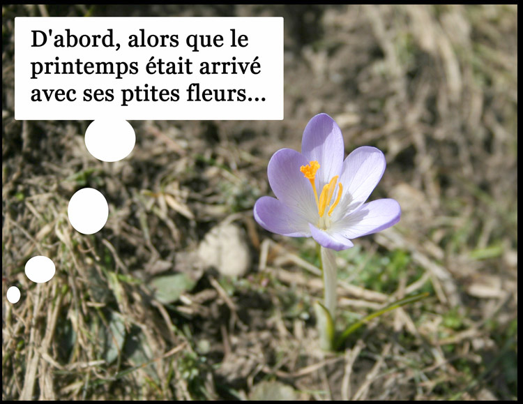 Image h�berg�e par Casimages.com : votre h�bergeur d images simple et gratuit