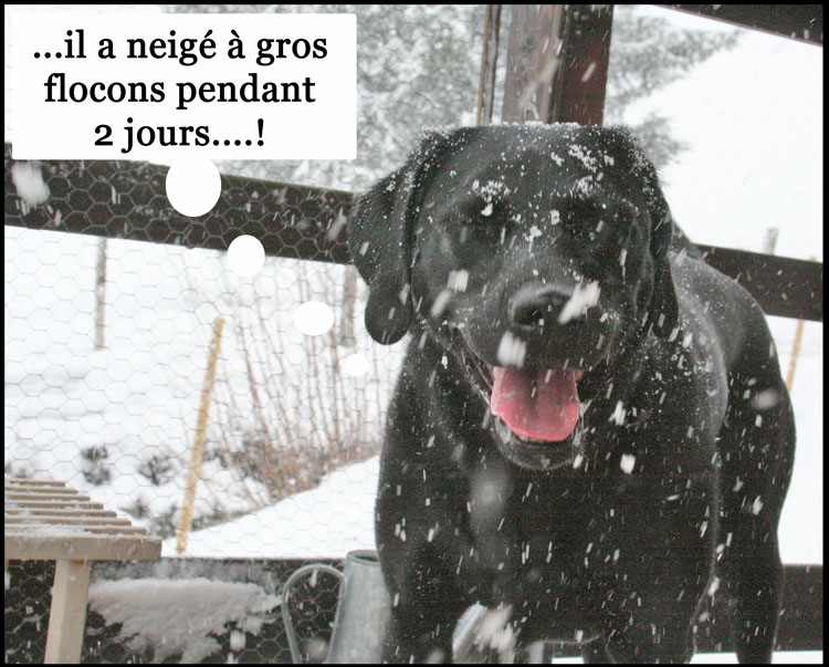 Image h�berg�e par Casimages.com : votre h�bergeur d images simple et gratuit