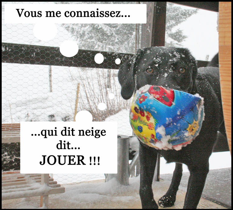 Image h�berg�e par Casimages.com : votre h�bergeur d images simple et gratuit