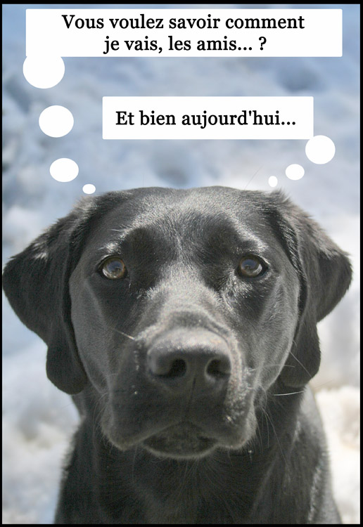 Image h�berg�e par Casimages.com : votre h�bergeur d images simple et gratuit