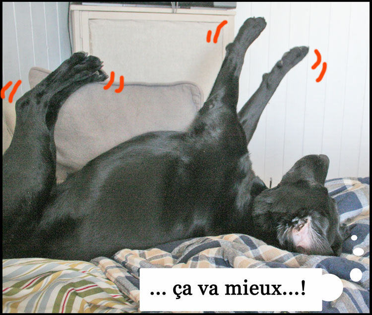 Image h�berg�e par Casimages.com : votre h�bergeur d images simple et gratuit