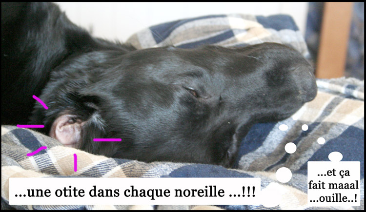 Image h�berg�e par Casimages.com : votre h�bergeur d images simple et gratuit