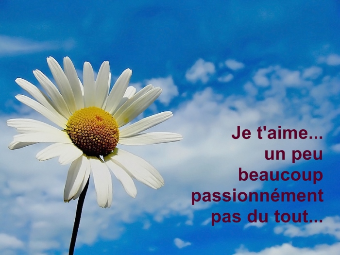 http://nsm01.casimages.com/img/2009/03/28/090328031702508193387011.jpg