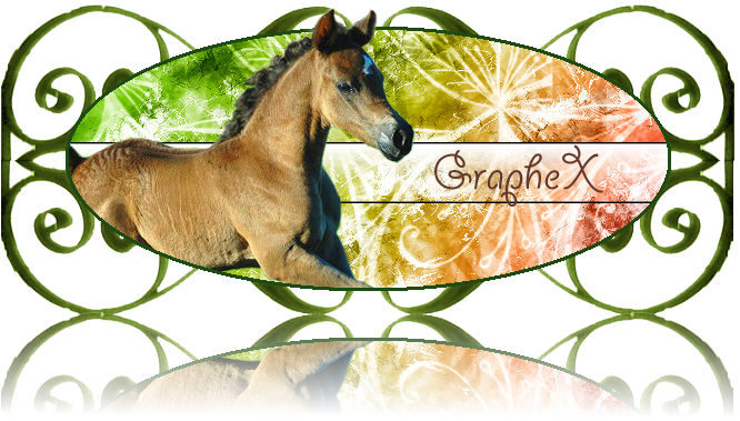 GrapheX