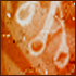 Ce forum est verrouill�, vous ne pouvez pas poster, ni r�pondre, ni �diter les sujets.