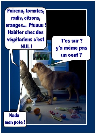 Image hébergée par Casimages.com : votre hébergeur d images simple et gratuit