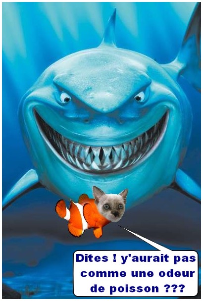 Image hébergée par Casimages.com : votre hébergeur d images simple et gratuit