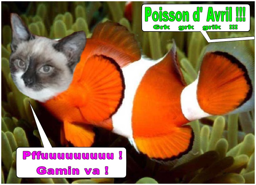 Image hébergée par Casimages.com : votre hébergeur d images simple et gratuit