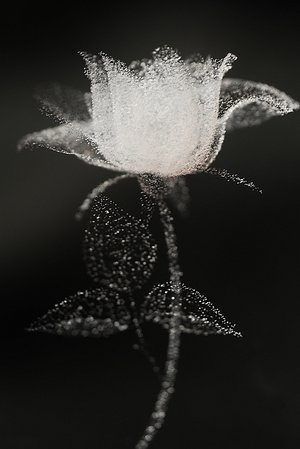Image hébergée par Casimages.com : votre hébergeur d images simple et gratuit