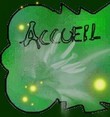 Accueil