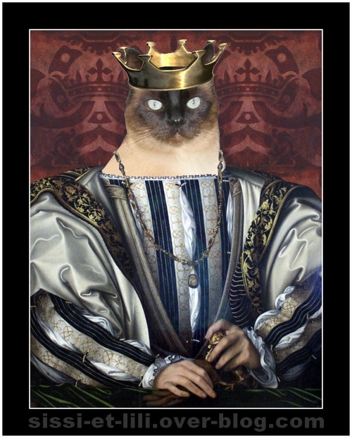 Image hébergée par Casimages.com : votre hébergeur d images simple et gratuit