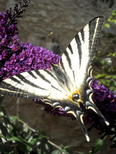 Image hébergée par Casimages.com : votre hébergeur d images simple et gratuit