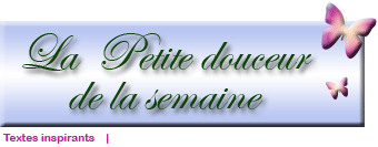 voir l'image en taille réelle