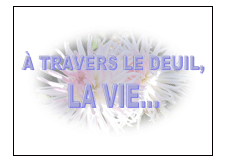 voir l'image en taille réelle
