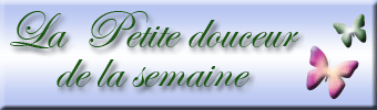 voir l'image en taille réelle