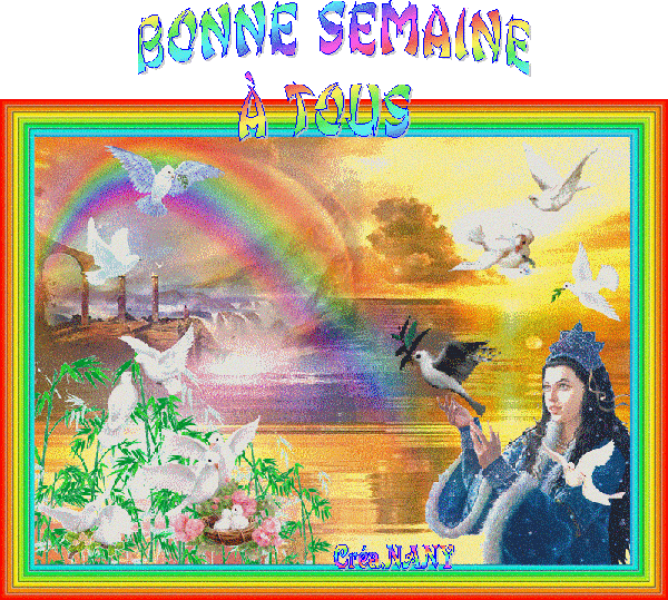 mon cheri evening gowns