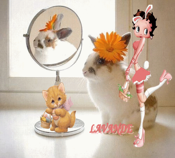 Image hébergée par Casimages.com : votre hébergeur d images simple et gratuit
