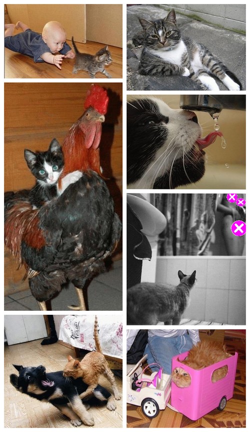 Image hébergée par Casimages.com : votre hébergeur d images simple et gratuit