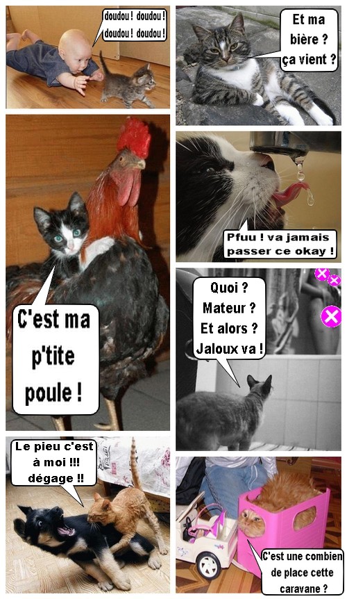 Image hébergée par Casimages.com : votre hébergeur d images simple et gratuit