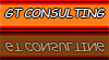 GT CONSULTING