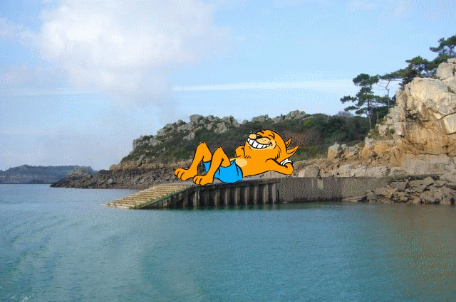 Image hébergée par Casimages.com : votre hébergeur d images simple et gratuit