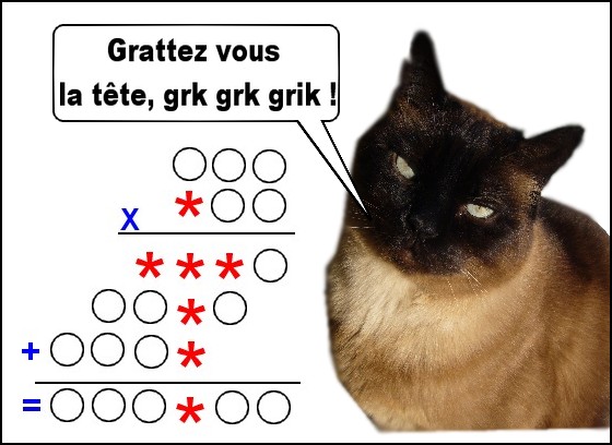 Image hébergée par Casimages.com : votre hébergeur d images simple et gratuit