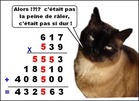 Image hébergée par Casimages.com : votre hébergeur d images simple et gratuit
