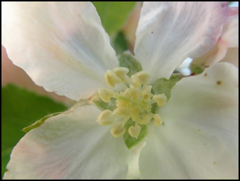 Image hébergée par Casimages.com : votre hébergeur d images simple et gratuit