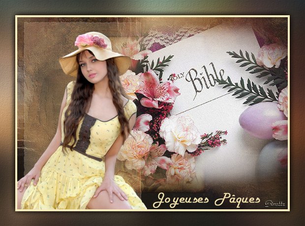 Image h�berg�e par Casimages.com : votre h�bergeur d images simple et gratuit